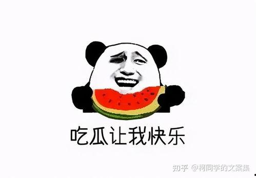 娱乐吃瓜酱你傻不傻