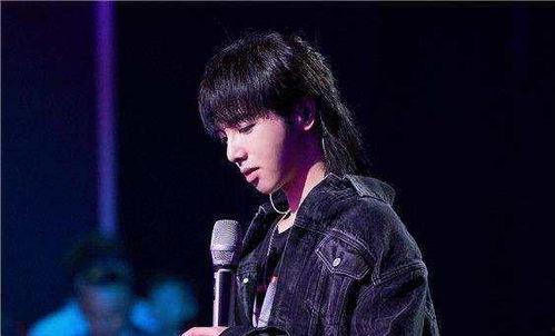吃瓜娱乐圈华晨宇,瓜田里的音乐奇才