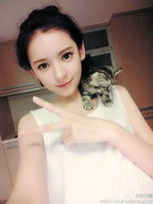 婉瑜娱乐吃瓜酱,揭秘娱乐圈幕后风云