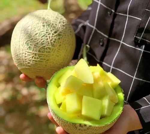 娱乐圈吃瓜必备