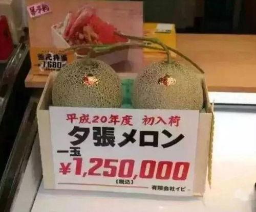 吃瓜娱乐有收益吗,揭秘网络时代收益新途径