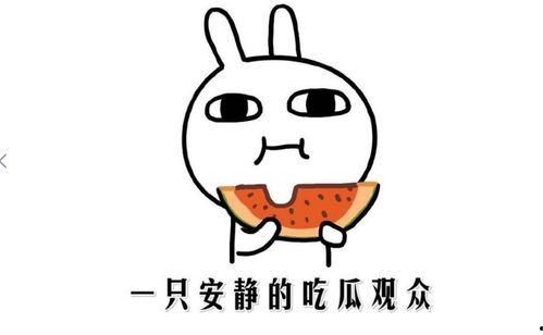 娱乐圈吃瓜的正确方式,如何正确开启你的“瓜田”之旅